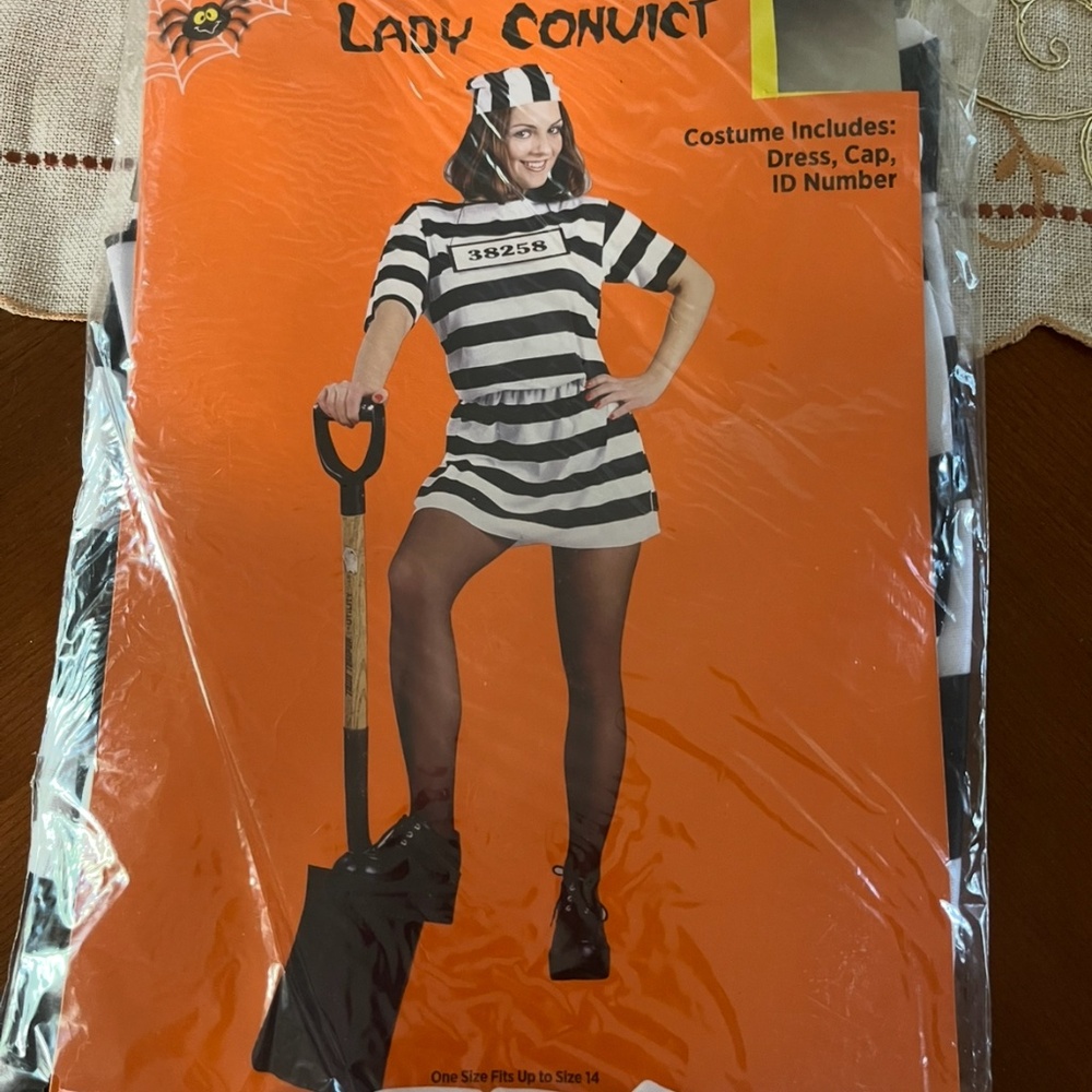 Lady convict costume